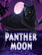 Lucky Koi รีวิว เกมน่าเล่นจาก Pragmatic Play